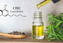 CBD Oil for Dogs: 4 Amazing Health Benefits for Your Pet