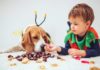 What to Do If Your Dog Eats Something Bad
