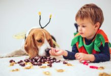 What to Do If Your Dog Eats Something Bad