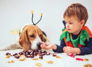 What to Do If Your Dog Eats Something Bad